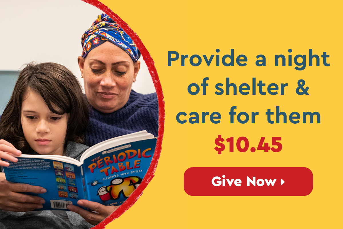 Provide a night of shelter and care